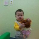 준헌