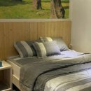 짜라호텔 이미지