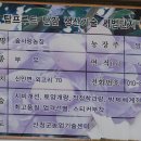 숲사랑농원 이미지