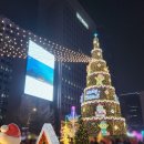 초롱타운 | 빛초롱축제 2025 토요일 6시에 간 후기