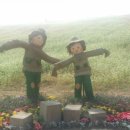 메밀꽃체육관 이미지