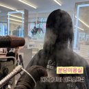 분당 미용실 아윤채크리닉 C컬드라이 후기 - 헤어다이아 미금스타점 로아 수석디자이너