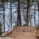 사회적협동조합 노리나무 이미지