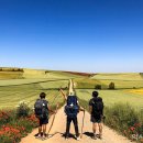 쉼표약국 이미지