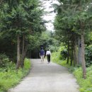 숲쟁이협동조합 이미지