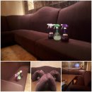 엑센트노래방 이미지