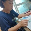 동백아가씨 노래하고 활동함 이미지