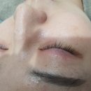 눈에꽃피다 네이버블로그