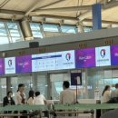 피어스와 시애틀 | [하와이안 항공] 후기