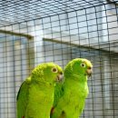 북로농장 이미지