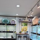 비아중앙로 이미지