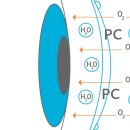 안경나라 동산본점 이미지