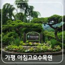 축제2015 | 가평 여행 아침고요수목원 수국축제 소요시간 및 추천 코스(한국관광 100선 솔직 후기)