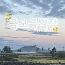 금오름 별장 네이버블로그