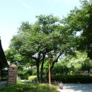 경상감영공원 이미지