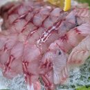 강촌추어탕 | 백반기행 광주 쏘가리회 추어탕 맛집 강촌 위치 정보