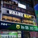 달라스레오 이미지