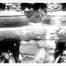 두어황토민박 이미지