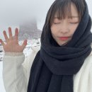 (주)서부한알렌즈 | [미국 서부] 세 번째 기록: 많다많아 미국 캐년 모음집 (~’.’)~ !!!