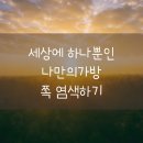 만5세 노부영영어 영어 대화로 물건을 사고 파는 마켓활동,쪽염색,천연염색,가방쪽염색,양서류 파충류 사이언스 실험 관람 생태 해설,메뚜기채집,방아깨비채집 이미지