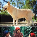 풍산목장 이미지