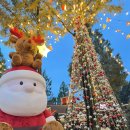 매일크리스마스 | 서울랜드 메리 매일 크리스마스/겨울까지 즐기는 크리스마스 축제 후기/눈썰매장/빙어낚시