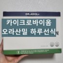 늘아침 | 닥터아돌 하루선식 카이크로바이옴 호라산밀 효과 내돈내산 후기