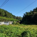 포항시북구47 이미지