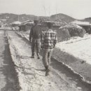 용산2리 이미지