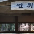 요사채 | 매화-2026-040. 선암사 <선암매(仙巖梅)> - 우리나라 매화의 성지(聖地)(2026.03.27.)