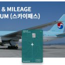 세븐일레븐 유성점 이미지