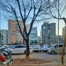 효자동아귀찜 이미지