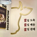 강남뭉티기 | [다니에르 맛집] 강남맛집 더뭉티기 강남점 후기