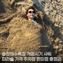 세븐일레븐 부산신송정해변점 | 부산 송정해수욕장 개장일 샤워 파라솔 가격 주차장 편의점 총정리