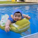 양평 피오레 감성 힐링 스파 펜션 | [애견동반 펜션] 오늘하루고마웠다 옥천점! 천연잔디와 수영장이 완벽한 2박 3일 독채 펜션 솔직후기 🛟