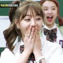 범섬포차 네이버블로그