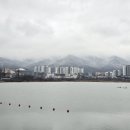 카페산세