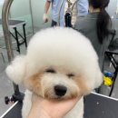 일순농장 이미지