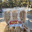 돌고래시장 | (주문진 맛집) 주문진건어물시장'돌고래 건어물, 젓갈' 구매 솔직후기