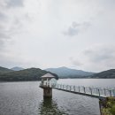 백운호수로 이미지