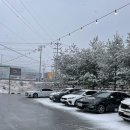 137 | 청주카미나르137, 브런치카페피자파스타맛집 내돈내산후기