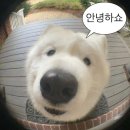 기브앤힐 | 7월의 3박 5일 다낭/호이안 가족 여행 part.1 (하이안 비치 호텔, 바나힐 골든브릿지, 티엔킴, 스파)