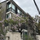 스시 노을 : 서울 강남 압구정 스시오마카세 주말런치코스