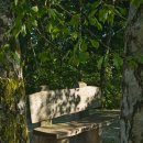 영어와 Craft 이미지