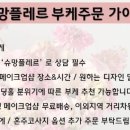 슈망플레르 이미지