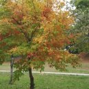 광령초등학교 이미지