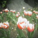 광명 시민운동장 이미지