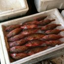 중앙자유시장 이미지