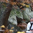 단전호흡 이미지