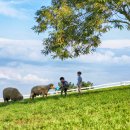 경남목장 이미지